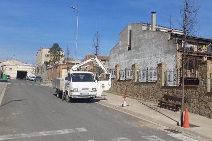 Imatge dels treballs de plantació d’arbres a Castellserà.