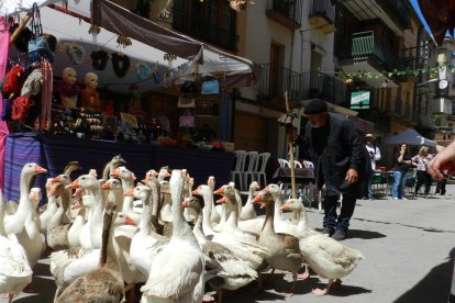 S’han programat set passejades d’oques pel mercat.