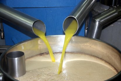 Imagen de archivo de producción de aceite en la cooperativa de Maials.