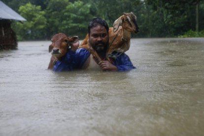 Un home rescatant els seus animals al Nepal, ahir.