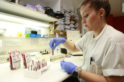 Imatge presa ahir al Banc de Sang de l’Arnau, un dels deu hospitals que col·laboren i recullen mostres per al projecte.