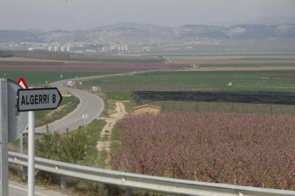 Vista de algunas de las fincas regables del Algerri-Balaguer en el término municipal de Albesa. 