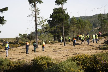 Una batuda de voluntaris a la recerca de pistes de la desaparició de Diana Quer