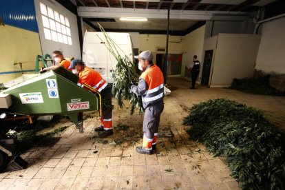 La máquina de triturar que utilizaron en una nave de La Bordeta para destruir la marihuana.