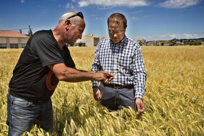 Alejandro Domingo i Ramon Augé, comprovant l’estat de l’ordi en un finca dels Hostalets.