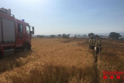 Tres dotacions terrestres van treballar en l’extinció de l’incendi de Cervera ahir a la tarda.