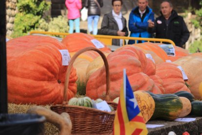 El concurso de la calabazas en su edición del pasado año.