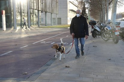 Un veí de Lleida passejant ahir a la tarda amb el seu gos per Cappont.