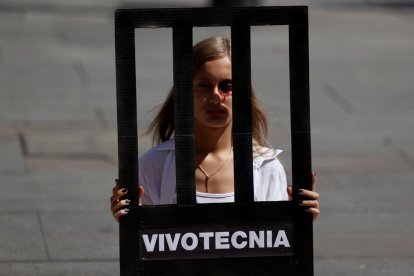 Experts donen suport a l'assaig animal després de la polèmica dels gossos