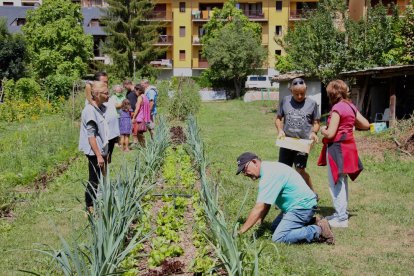Más de 730 mecenas ayudan a impulsar seis proyectos de arraigo en el Pirineo