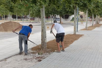 Operarios trabajando en el paseo del Parc Esportiu de Tàrrega.