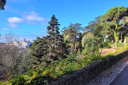 Una monumental ficció literària per capítols es va convertir en tot un esdeveniment popular que seguien els lectors del 'Diário Noticias' de Lisboa