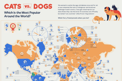 ¿Gato o perro? ¿Qué mascota prefiere cada país del mundo?