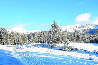 La estación de esquí de fondo de Lles, donde se acumularon entre 5 y 10 centímetros de nieve. 