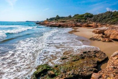 Senderos en Alcanar, siguiendo la ruta del Camí de Ronda: Foto: Patronat de Turisme de la Diputació