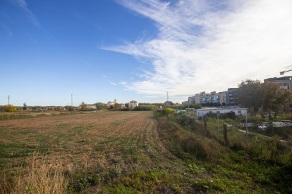 Estado actual de la zona en la que se construirán las 926 viviendas, con los silos del Senpa al fondo.