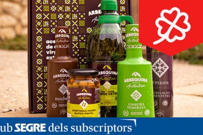 Lote aceite de oliva Arbequina