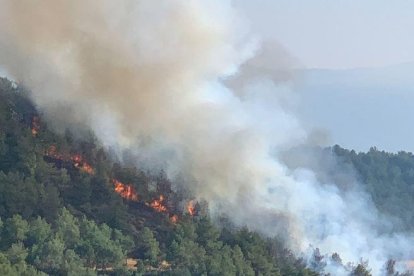 Un incendio forestal en el Solsonès.