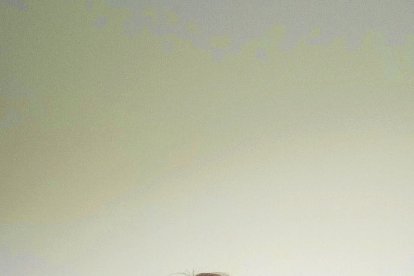 Ares Escolà Barragán: «L'oïda absoluta és identificar una nota sense referències»