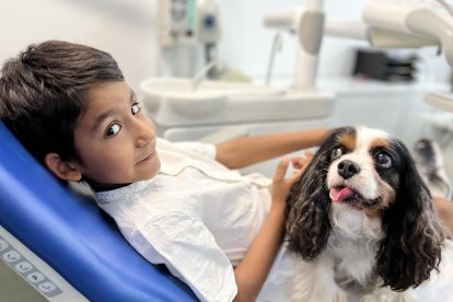 Un niño antes de que le extraigan una muela, acompañado de una perra de terapia, en la CAP Bordeta-Magraners de Lleida.