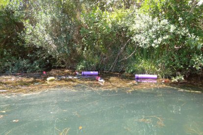 Basura en las márgenes del río en Camarasa.