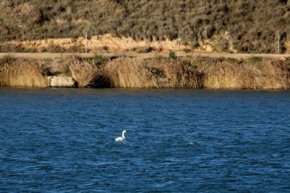 El pantà d'Utxesa, a Torres de Segre.