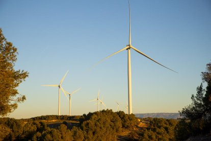 Vista de los molinos del parque eólico de Solans, terminados y  a la espera de entrar en servicio.