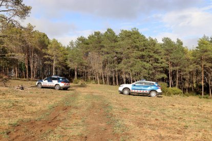 Els dos ultralleugers es van estavellar en una zona boscosa i es va originar un petit incendi.