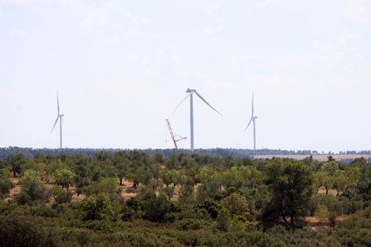 Un dels molins del parc de Solans amb dos de les tres aspes instal·lades.