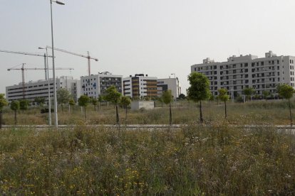 Imatge d’arxiu de blocs d’habitatges en construcció.