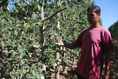 El Canal d'Urgell salva la fruita i els regants demanen evitar tancaments