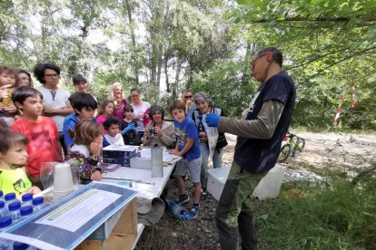 Taller per descobrir els petits mamífers dels Patamolls de Montoliu