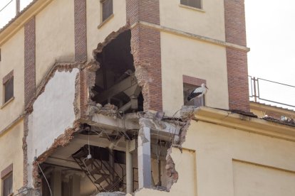 Una cigüeña al lado de la parte del silo ya demolida.