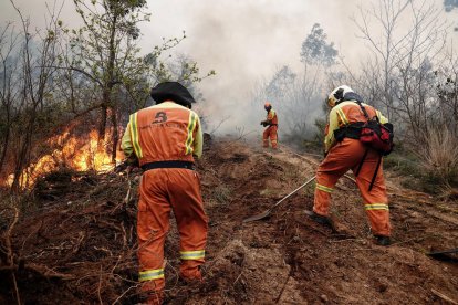 Los Bomberos de Asturias batallando ayer por apagar uno del centenar de incendio activos. 