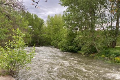 El riu Valira, a l'altura de la Seu, va arribar a portar gairebé 13 metres cúbics per segon.