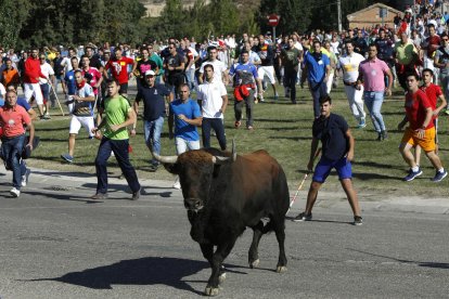 La Fiscalía no ve delito de maltrato animal en el torneo del Toro de la Vega