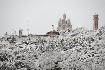 Vegetació coberta de neu a la serra de Collserola vista des del Tibidabo.