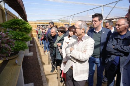 Miquel Pueyo, Toni Postius, Yasushi Sato i la seua dona, durant la inauguració de l’Espai Bonsai.