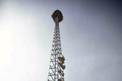 La torre está compuesta de un nido para cigüeñas y más de una docena de nidos de madera 