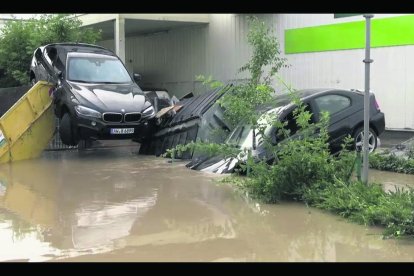 Dia del Medi Ambient a la TV