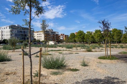 L’estat actual del Parc de les Arts, al solar al costat d’Alcalde Pujol.