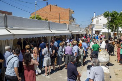 Més de 70 paradistes, un 60% dels quals de Bellcaire d’Urgell, van omplir els carrers del municipi.