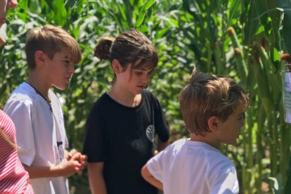 Algunos niños ya visitaron ayer el laberinto de maíz.