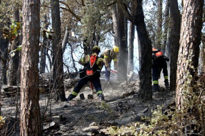 Controlat l'incendi de les Gavarres iniciat divendres