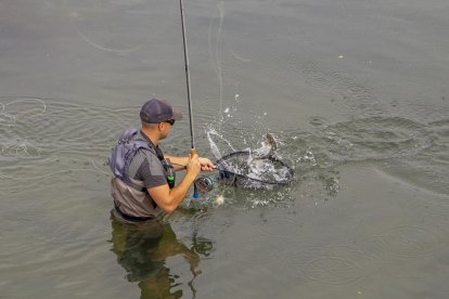 La plaza de Sant Pere acoge a los 12 expositores relacionados con el sector de la pesca. 