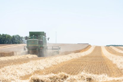 Las fincas rústicas suscitan el interés de grandes inversores en el Estado.