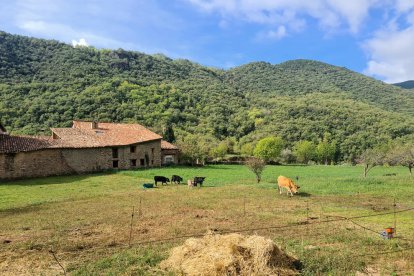 Finques que formen part del banc de terres que els socis de la cooperativa Copsant posen a disposició de petits productors o ramaders. Les finques es troben a tocar del poble de Bale