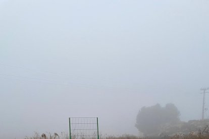 Una de las jaulas que se han desplegado en Soses para capturar a los perros asilvestrados. 