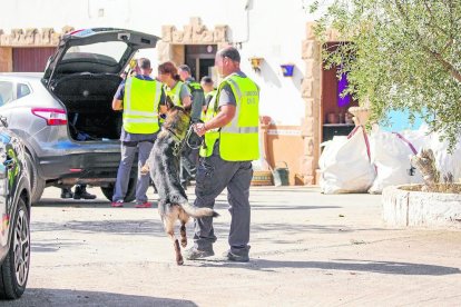 Un perro adiestrado en la búsqueda de drogas participó ayer en el registro de la nave abandonada en Les Borges Blanques. 