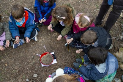 Alumnes de l’escola Alba pesant un eriçó per comprovar si guanya pes i, a la dreta, observant l’espai tancat en el qual viuen al pati del centre.